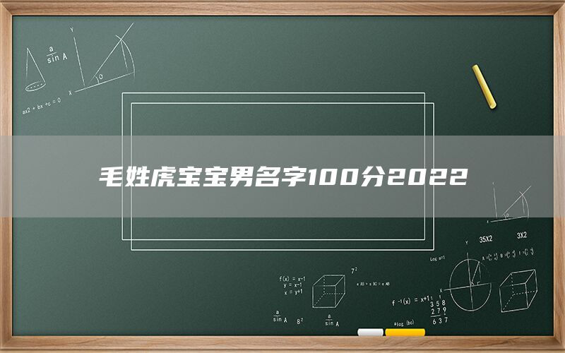  毛姓虎宝宝男名字100分2022(图1)