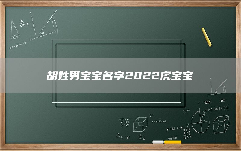  胡姓男宝宝名字2022虎宝宝(图1)